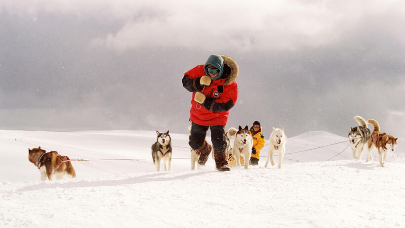 
	Best in Show: The Movies' Top Dogs
