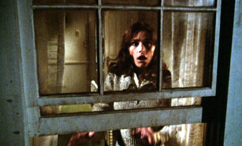 
	The Amityville Horror (1979)
