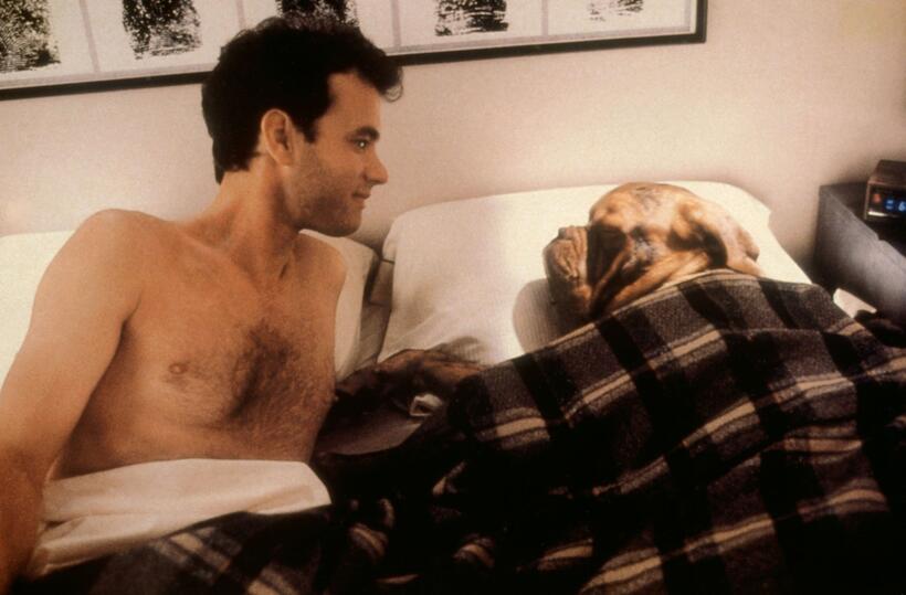 
	Tom Hanks in Turner and Hooch
