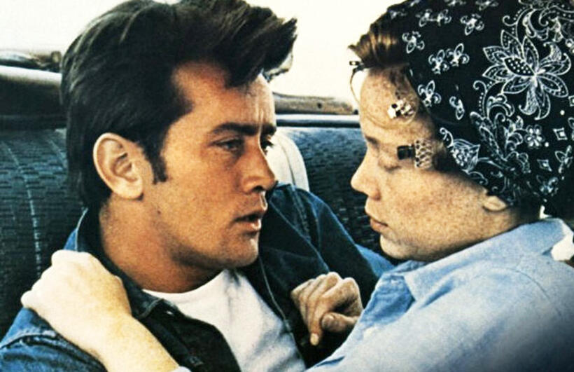 Cine Latino: 20 Hispanics Who Have Conquered Hollywood