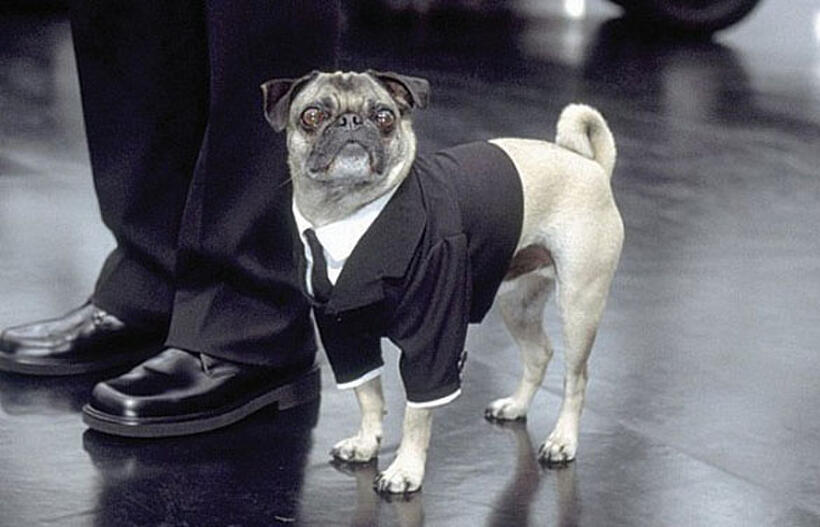 Objects of Their Affection: Spielberg Characters and Their Sidekicks