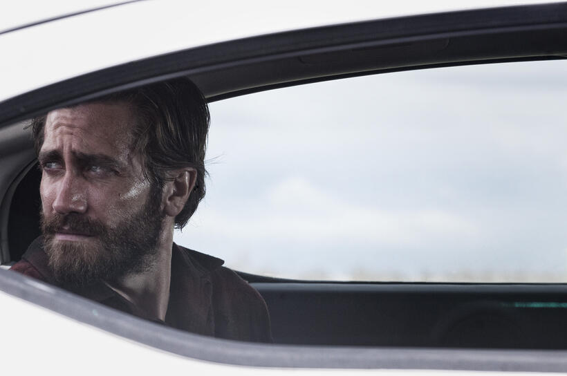 
	Nocturnal Animals (Nov. 18)
