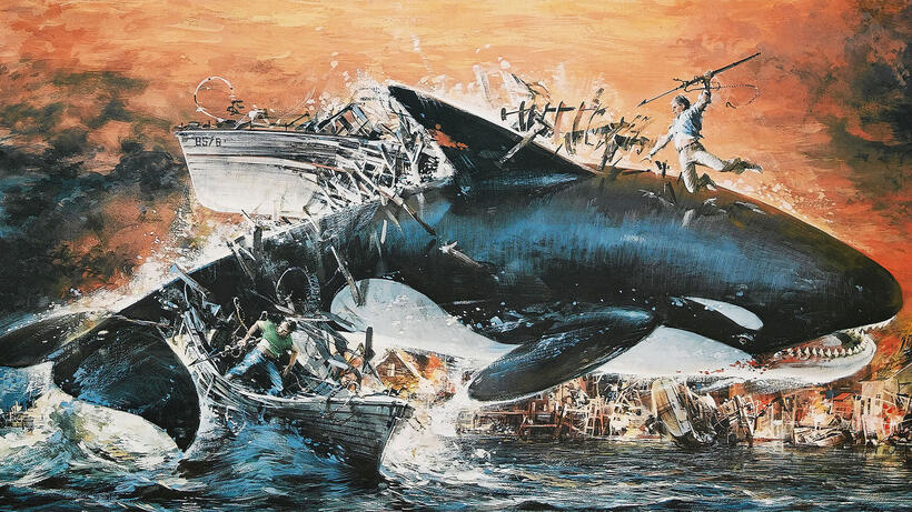 
	Orca: Killer Whale
