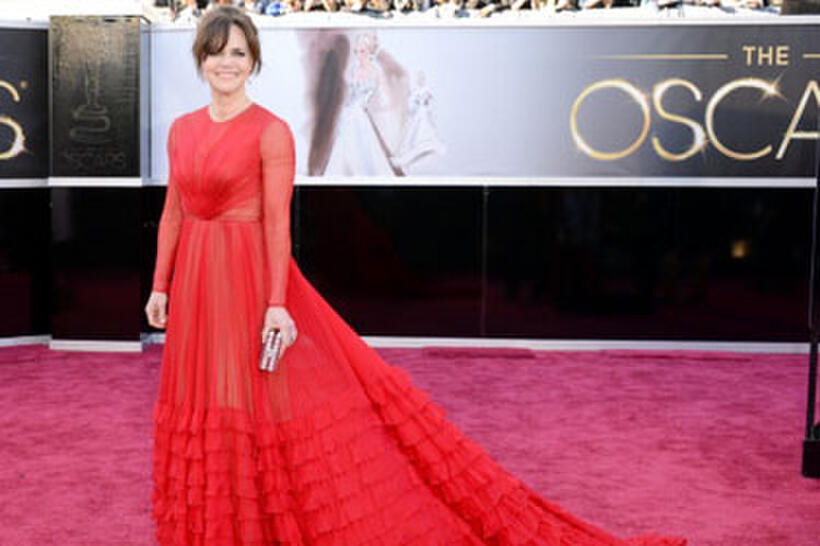 2013 Oscars Red Carpet