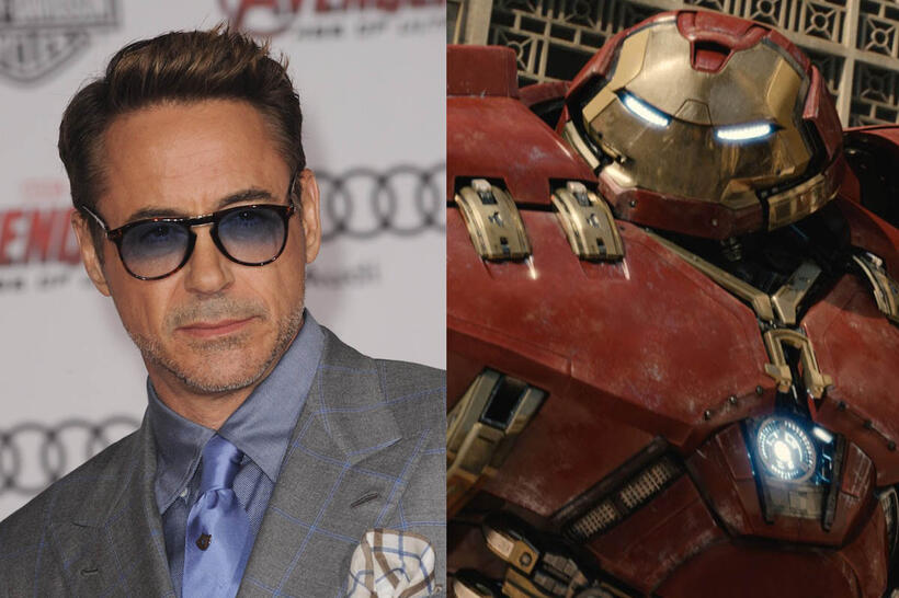 
	Robert Downey, Jr. (Tony Stark/Iron Man)
