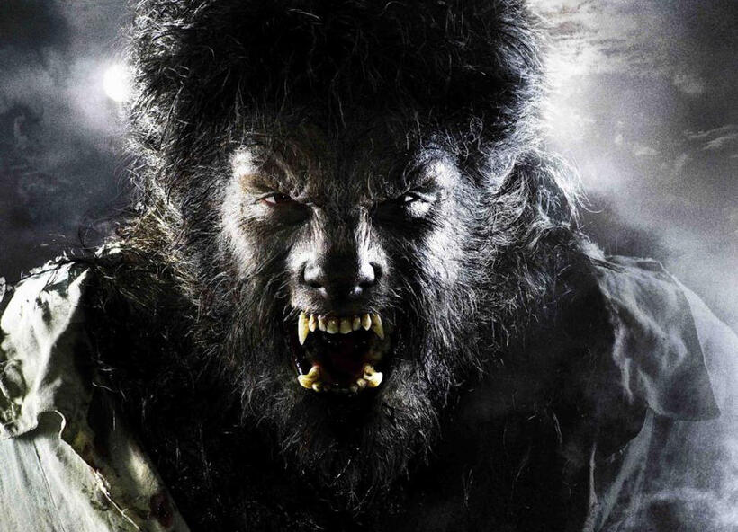 
	The Wolfman
