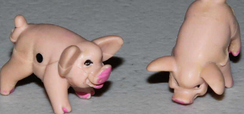 Pass the Pigs
