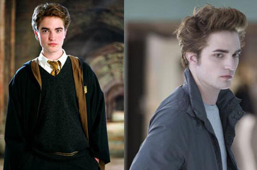 Harry Potter and the Gang: Where Are They Now?