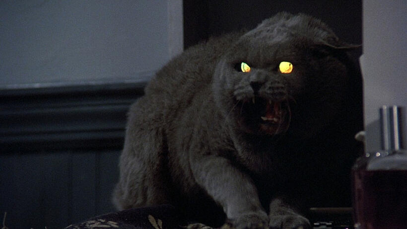 
	Pet Semetary
