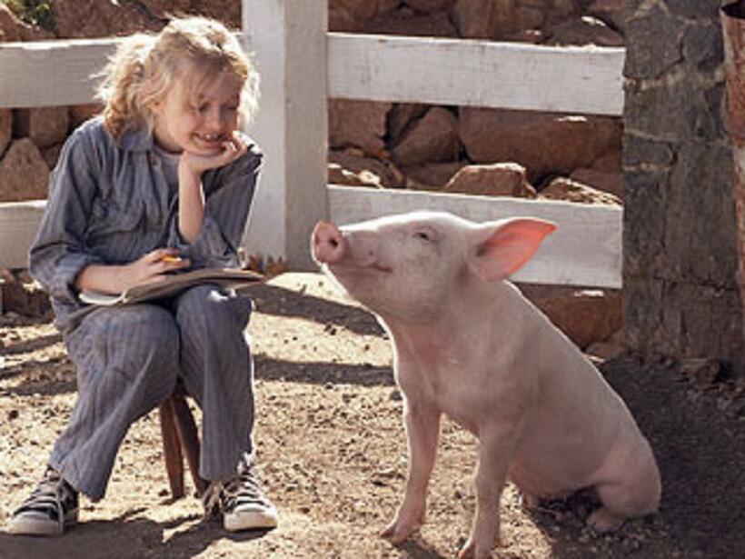 Our Favorite Live Action / Animated Movies