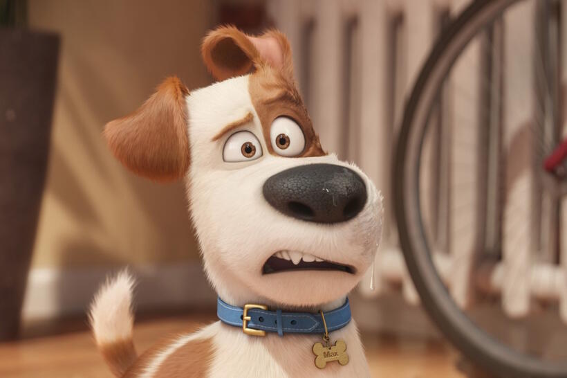 
	The Secret Life of Pets
