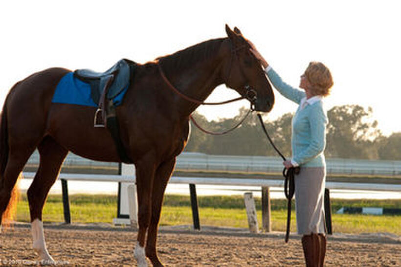 2010 Fall Movie Guide