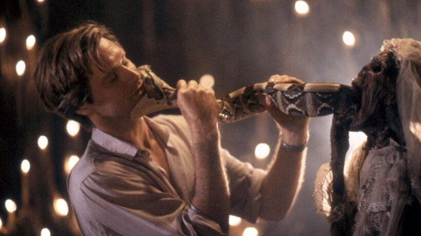 The Serpent and the Rainbow (1987) 