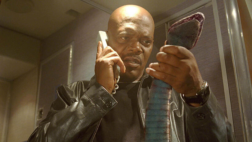 
	Snakes on a Plane
