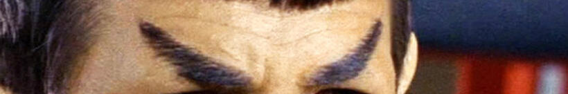 
	Whose Eyebrows Are These?
