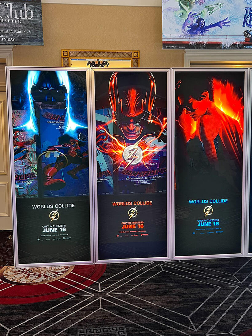 
	The Flash display
