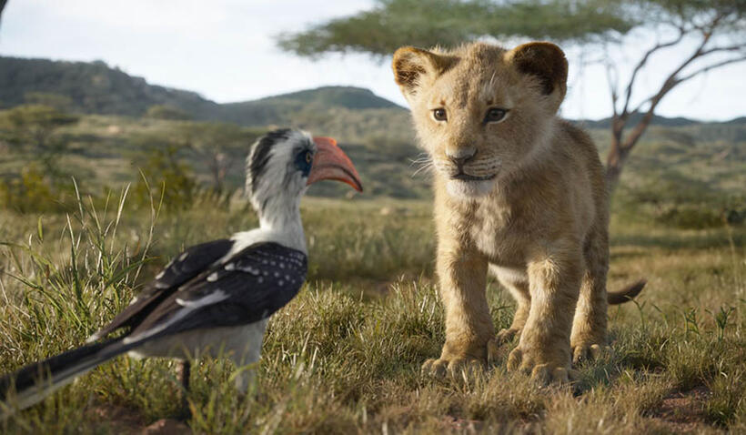 
	THE LION KING (JULY 19)
