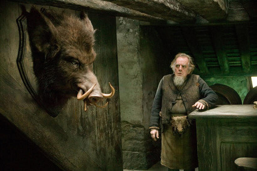 Harry Potter Character Guide