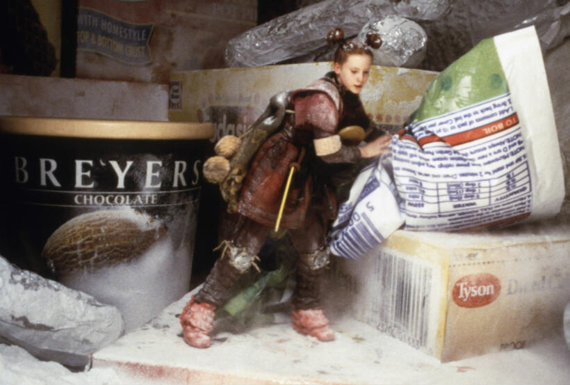 
	7. The Borrowers
