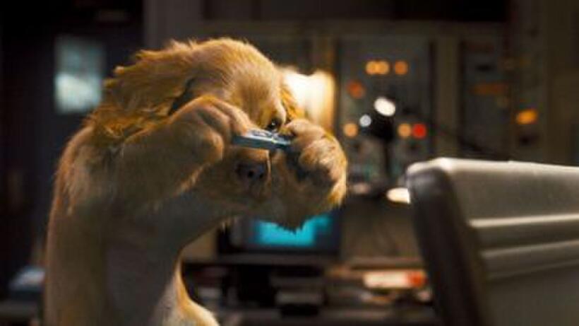Family Movie Guide: Summer 2010