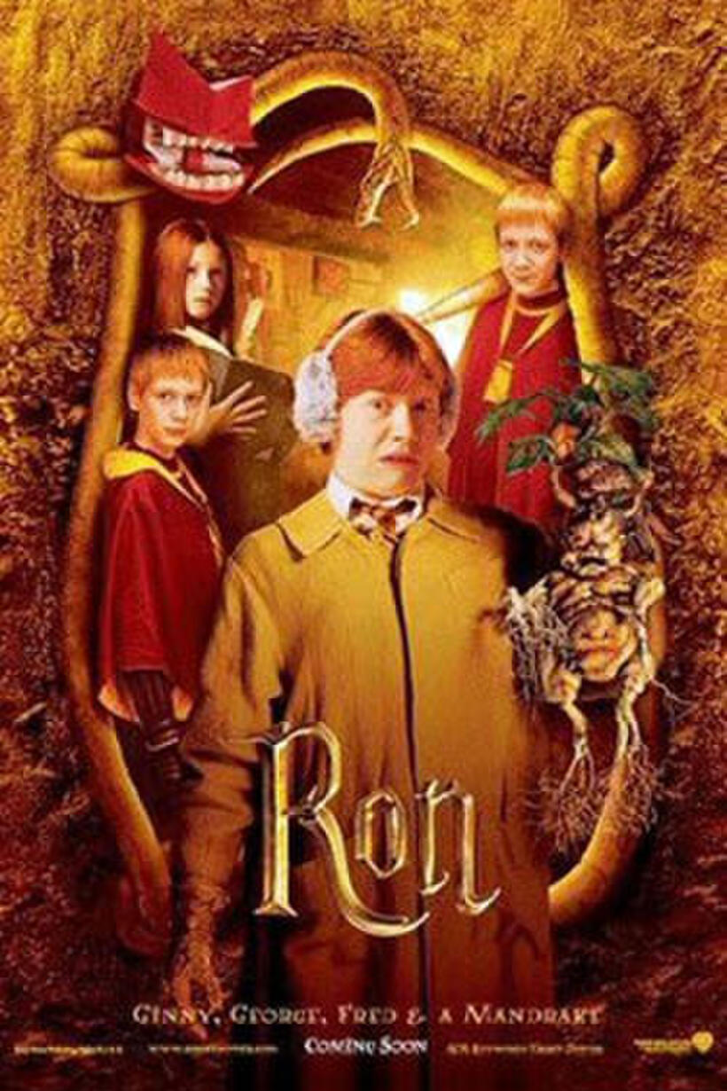 Harry Potter and the Chamber of Secrets