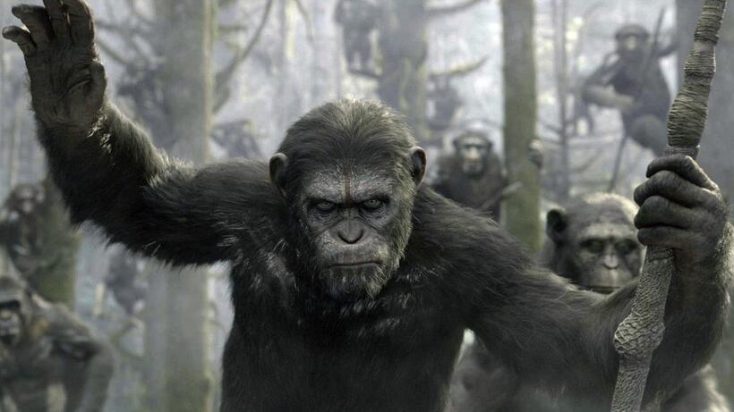 
	Movies We're Looking Forward to in 2014
