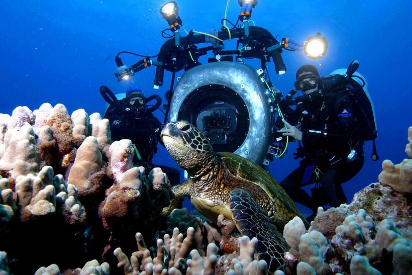 
	Lions and Tigers and Bears, Oh My!
