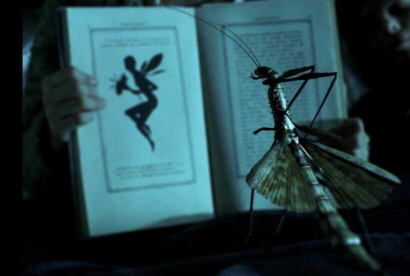 
	Phasmid, &lsquo;Pan's Labyrinth&rsquo;

