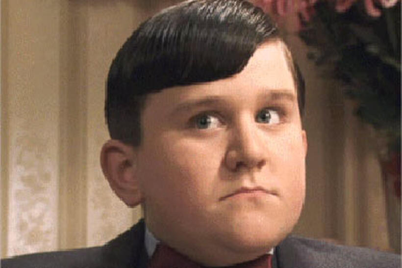 Dudley Dursley