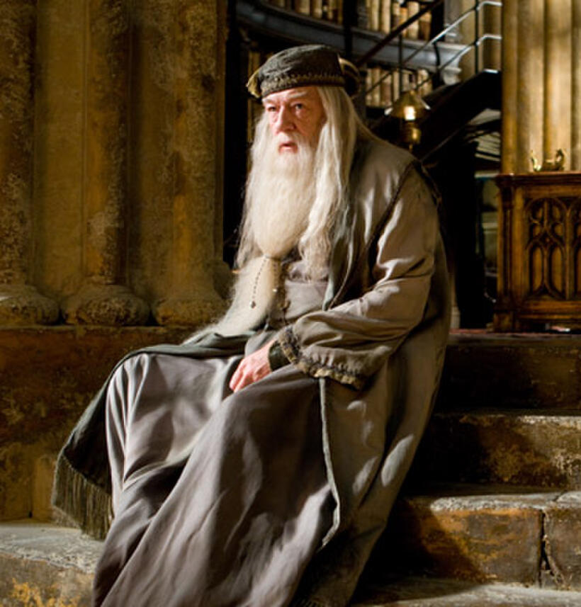 Michael Gambon as Albus Dumbledore