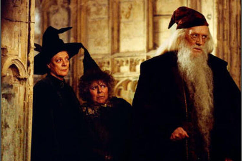  Harry Potter and the Chamber of Secrets