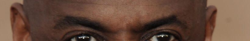 
	Whose Eyebrows Are These?
