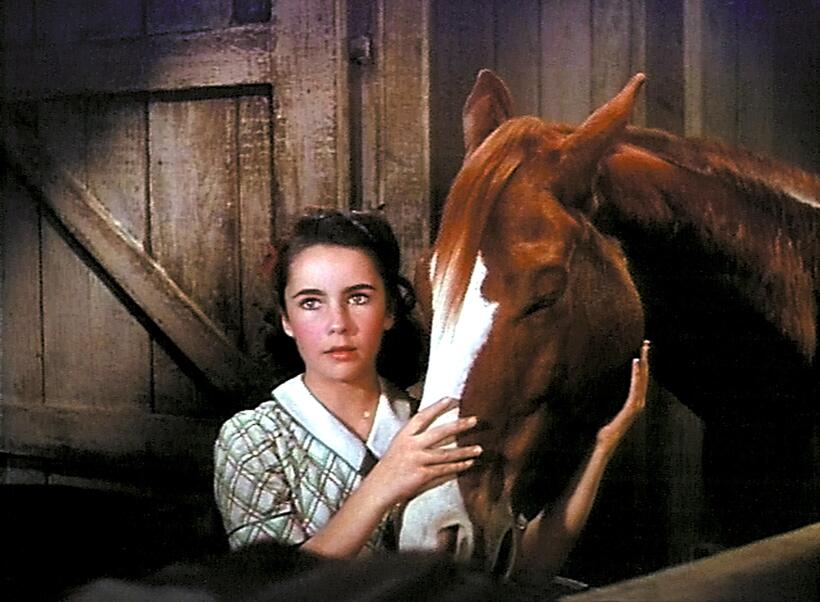 National Velvet