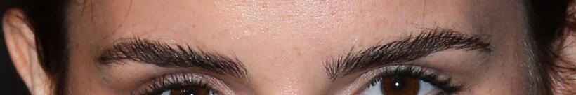 
	Whose Eyebrows Are These?
