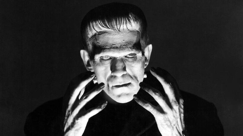 FRANKENSTEIN (1931), YOUNG FRANKENSTEIN (1974)