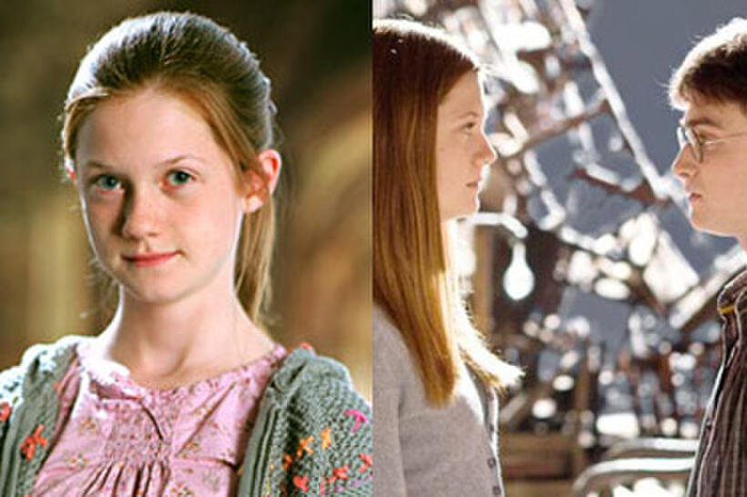 Harry Potter and the Gang: Where Are They Now?