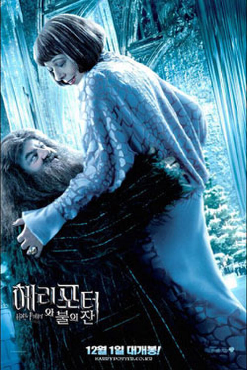 Harry Potter and the Goblet of Fire