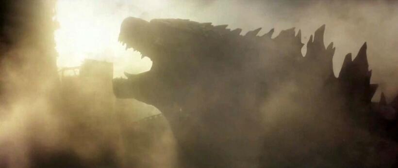 
	Godzilla in Film
