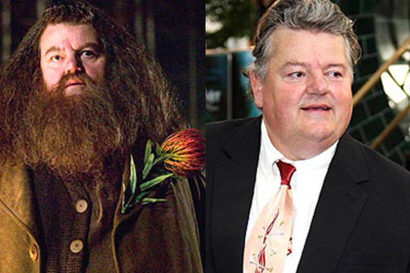 Harry Potter and the Gang: Where Are They Now?
