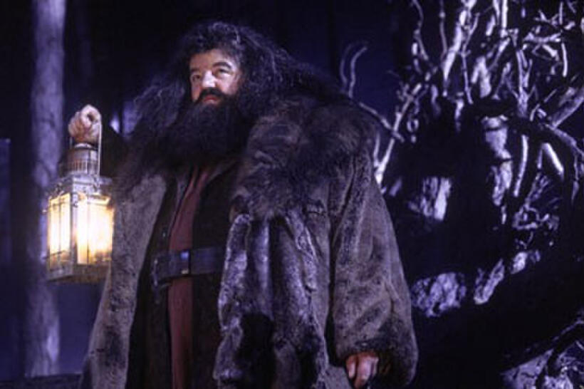 Harry Potter and the Sorcerer's Stone