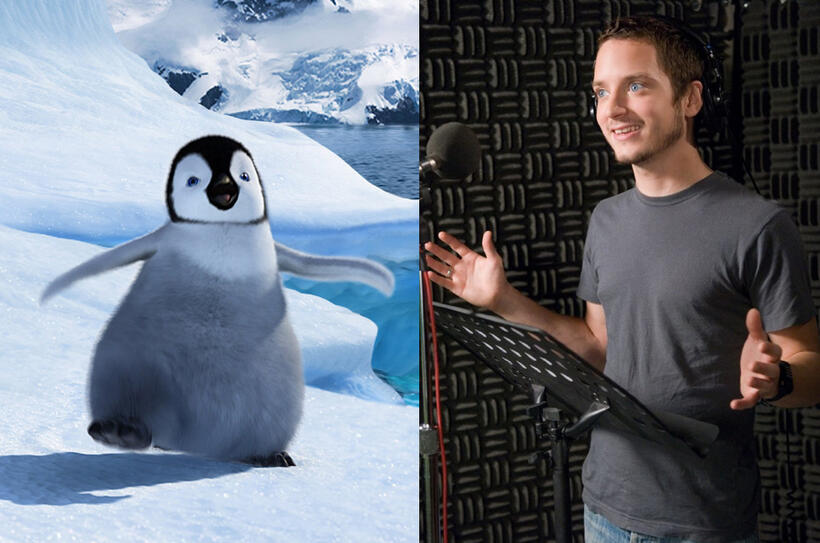 
	Our Favorite Movie Star-Animated Animals

