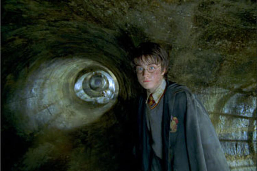  Harry Potter and the Chamber of Secrets