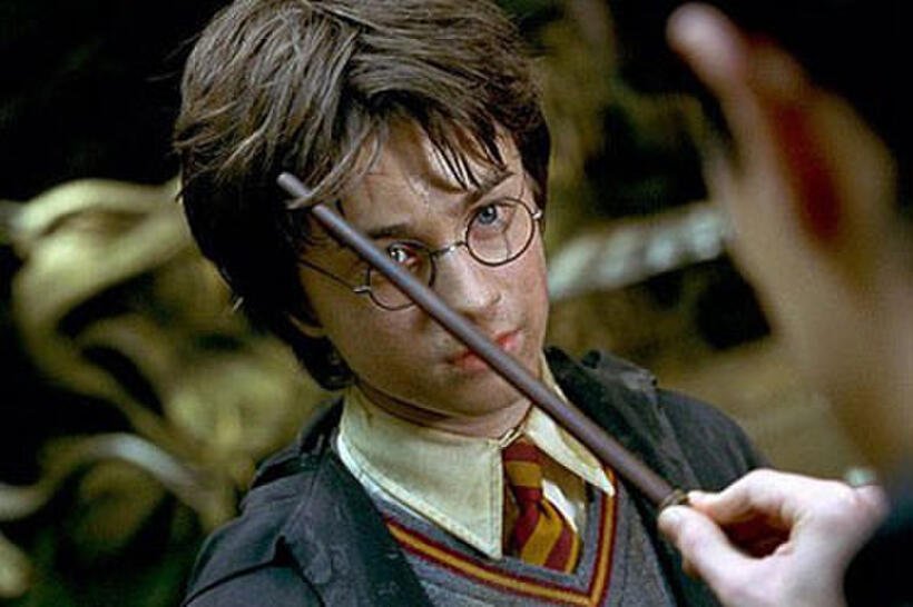  Harry Potter and the Chamber of Secrets