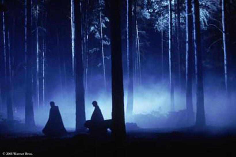 Harry Potter and the Sorcerer's Stone