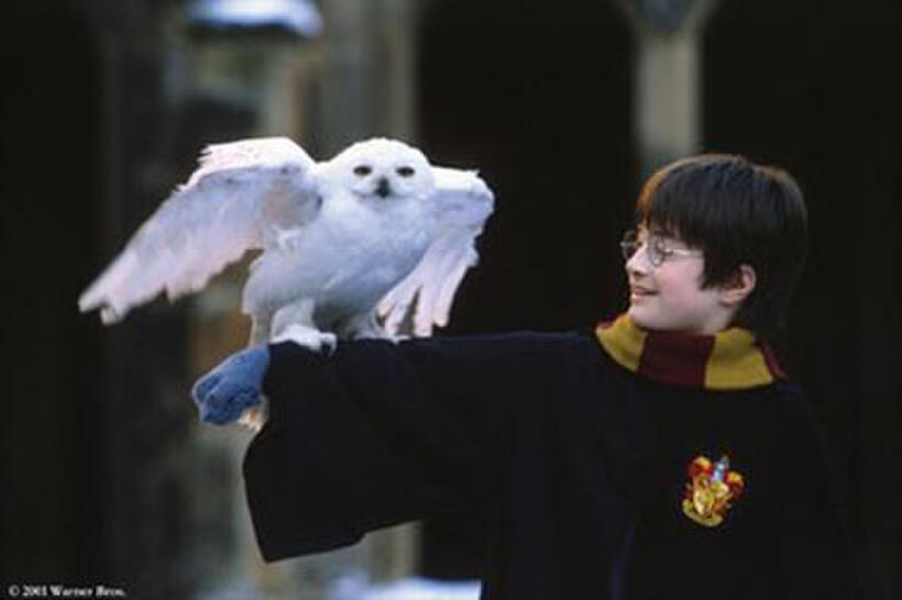 Harry Potter and the Sorcerer's Stone