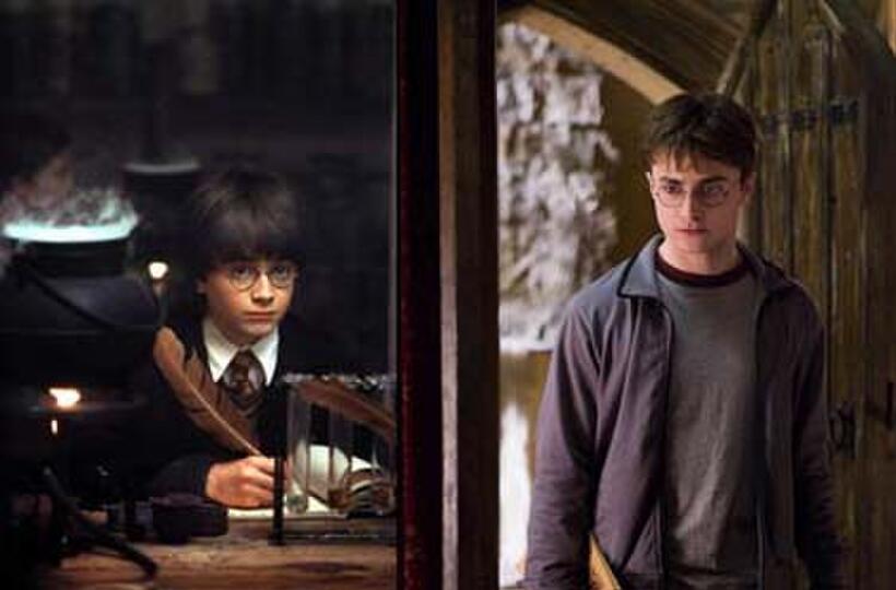Harry Potter and the Gang: Where Are They Now?