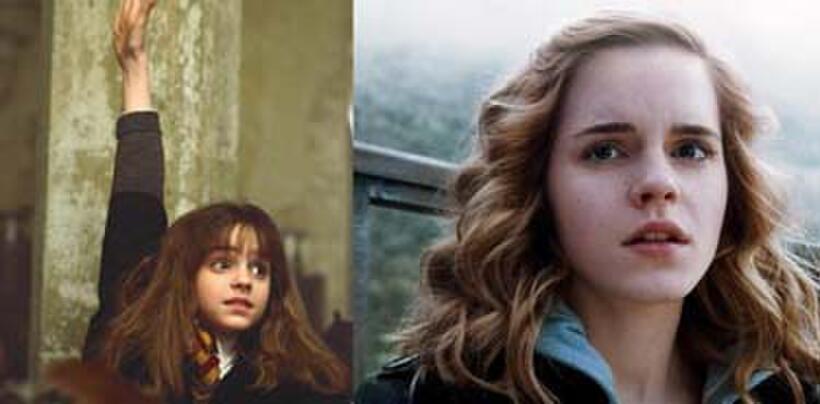 Harry Potter and the Gang: Where Are They Now?