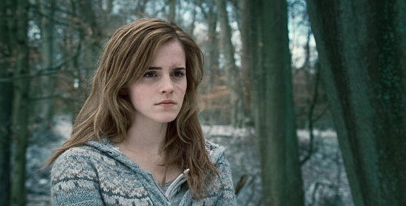 Top Harry Potter Villains and Heroes