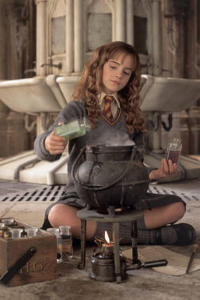  Harry Potter and the Chamber of Secrets