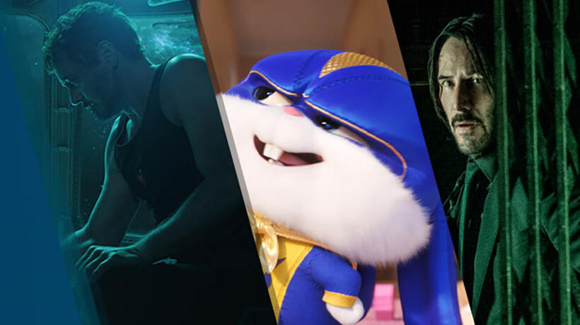 
	The 2019 Summer Movie Preview
